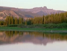Absarokameus, Yellowstone Lake, Wyoming - 1600x1.jpg (click to view)