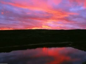 Alaskan Sunset -  - ID 39671.jpg