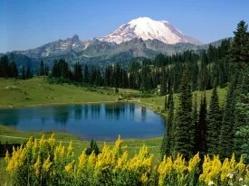 Alpine Scenic, Washington -  - ID 31896.jpg