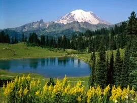 Alpine Scenic, Washington -  - ID 31896.jpg (click to view)