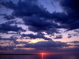 Amber, Grand Island, Michigan -  - ID 3.jpg (click to view)