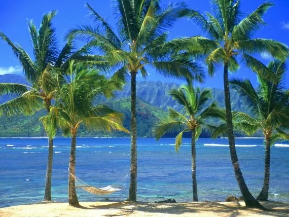 An Empty Hammock in Kauai Hawaii (click to view)