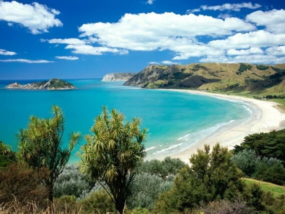 Anaura Bay, Gisborne, New Zealand -  - .jpg (click to view)