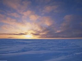 Arctic Ice Pack at Sunset, Canada -  - .jpg