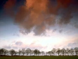 Auburn Sky -  - ID 24183.jpg