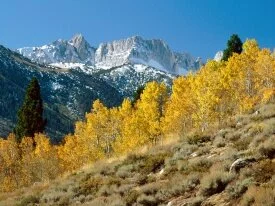 Autumn at Matterhorn Peak, Sawtooth Range, Calif.jpg