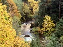 Autumn Color, Coquille River, Oregon - .jpg (click to view)
