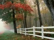 Autumn Splendor -  - ID 30979.jpg