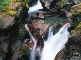 Avalanche Gorge, Glacier National Park, Montana .jpg