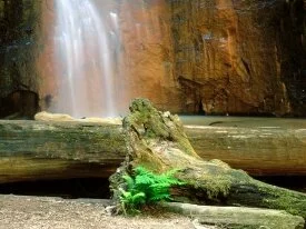 Berry Creek Falls, Big Basin Redwoods State Park.jpg