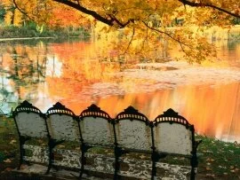 Best Seat in the House, Louisville, Kentucky - 1.jpg (click to view)