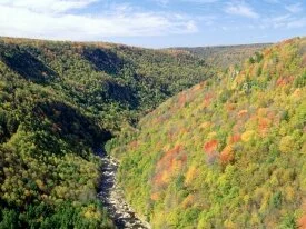 Blackwater River From Pendleton Overlook, West V.jpg