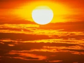 Blazing Sun -  - ID 41250.jpg