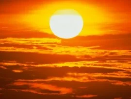 Blazing Sun -  - ID 41250.jpg (click to view)