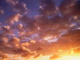 Brand New Day -  - ID 41686 - PREMIUM.jpg
