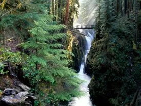 Bridge Over Sol Duc Falls, Olympic National Park.jpg