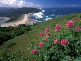 Cascade Head, Oregon -  - ID 32182.jpg