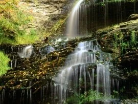 Cathedral Falls, West Virginia -  - ID .jpg (click to view)