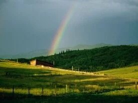 Color and Light, Steamboat, Colorado - .jpg