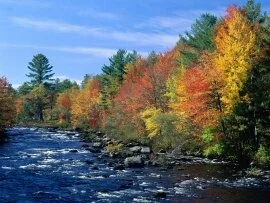 Colors of New England -  - ID 34908.jpg (click to view)