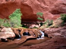 Coyote Gulch, Escalante River Canyons, Utah - 16.jpg (click to view)