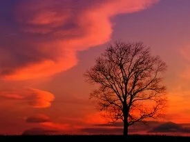 Crimson Twilight, Kentucky -  - ID 4467.jpg
