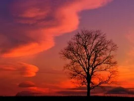 Crimson Twilight, Kentucky -  - ID 4467.jpg (click to view)