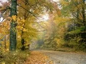 Crisp Autumn Afternoon, Vermont -  - ID.jpg