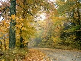 Crisp Autumn Afternoon, Vermont -  - ID.jpg (click to view)