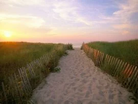 Crosby Landing, Nickerson State Park, Cape Cod, .jpg (click to view)