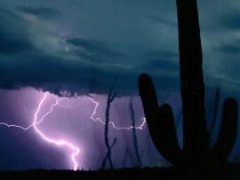 Desert Storm -  - ID 23779.jpg (click to view)