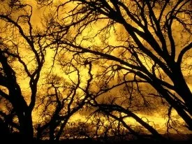 Devil's Sky, Mount Diablo, California - .jpg