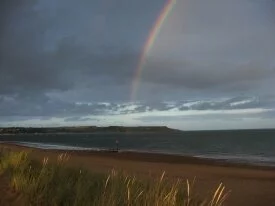 devon (4).jpg