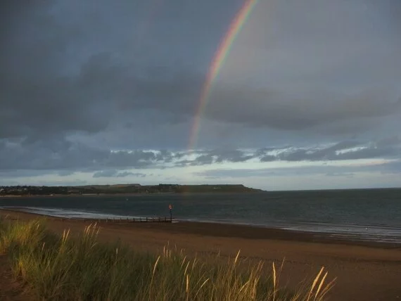 devon (4).jpg (click to view)