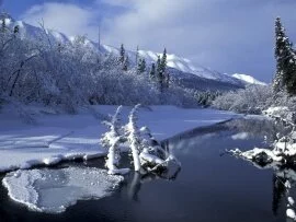 Eagle River, Alaska -  -.jpg (click to view)