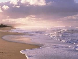 Easy Waves -  - ID 43704 - PREMIUM.jpg (click to view)