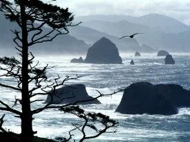Ecola Point, Oregon Coast -  - ID 36769.jpg