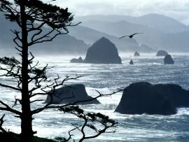 Ecola Point, Oregon Coast -  - ID 36769.jpg (click to view)