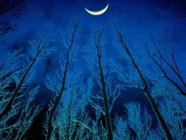 Eerie Silence -  - ID 12444.jpg (click to view)