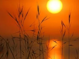 Evening Glow -  - ID 1157 - PREMIUM.jpg