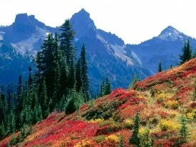 Fall Spectrum in the Tatoosh Range, Mount Rainie.jpg