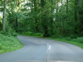 Forest way HD