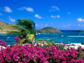 French Cul-de-Sac, Saint Martin -  - ID.jpg (click to view)