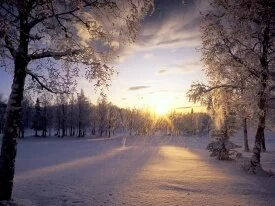Fresh Fallen Snow, Arctic Valley,.jpg