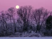 Full Moon over Edwin Warner Park,.jpg