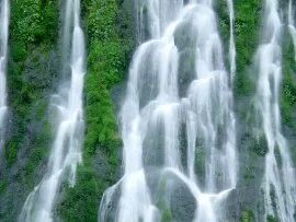 Gifford Pinchot National Forest, Washington - 16.jpg (click to view)