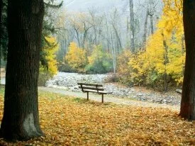 Greenough Park, Missoula, Montana -  - .jpg