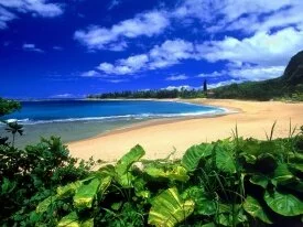 Haena Beach, Kauai, Hawaii -  - ID 4537.jpg