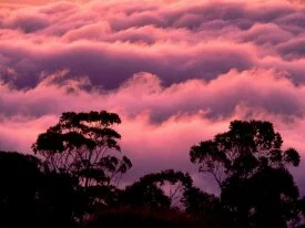 Haleakala National Park, Maui, Hawaii - .jpg