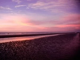 Hilton Head Island, South Carolina -  -.jpg (click to view)